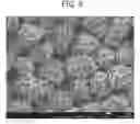Fig. 09 - NONAQUEOUS ELECTROLYTE SECONDARY BATTERY POSITIVE ELECTRODE ACTIVE MATERIAL AND METHOD FOR MANUFACTURING SAME, AND NONAQUEOUS ELECTROLYTE SECONDARY BATTERY