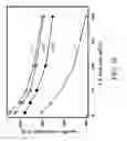 Fig. 08 - ELECTROLYTE, FLEXIBLE ELECTRODE AND FLEXIBLE ELECTRONIC DEVICE