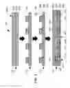 Fig. 03 - Array apparatus comprising a dielectric resonator array disposed on a ground layer and individually fed by corresponding signal feeds, thereby providing a corresponding magnetic dipole vector