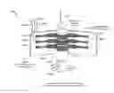 Fig. 01 - ROTATING CONTACT ASSEMBLIES FOR SELF-LEVELING CAMERA HEADS