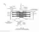 Fig. 34 - ROTATING CONTACT ASSEMBLIES FOR SELF-LEVELING CAMERA HEADS
