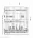 Fig. 20 - Integrated circuit implementing a VCSEL array or VCSEL device