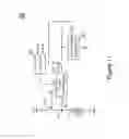 Fig. 12 - Voltage boosting circuit capable of modulating duty cycle automatically