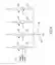 Fig. 05 - Synchronous oscillation circuit