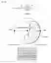Fig. 08 - Multiplexer, transmission device, and reception device