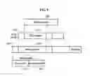 Fig. 09 - Apparatus and method for accessing star network/mesh network of time division multiple access (TDMA)/single channel per carrier (SCPC) integrated satellite communication