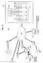Fig. 16 - Radiobeacon data sharing by forwarding low energy transmissions to a cloud host