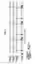 Fig. 05 - Transmission device, communication device and signal transmission system