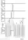 Fig. 04 - Listen before talk for reference signals in MIMO systems