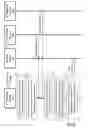 Fig. 05 - Listen before talk for reference signals in MIMO systems