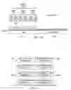 Fig. 08 - Channel state information for adaptively configured TDD communication systems