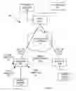 Fig. 03 - System and method of dynamic establishment of virtual private networks using border gateway protocol ethernet virtual private networks technology