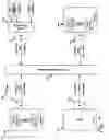 Fig. 10 - Fabric support for quality of service