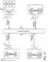 Fig. 15 - Fabric support for quality of service