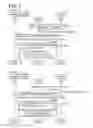Fig. 06 - Non-transitory computer-readable recording medium for terminal device