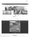Fig. 08 - Suggesting image files for deletion based on image file parameters