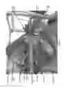 Fig. 02 - Simultaneous image gathering system and method