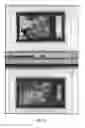 Fig. 13 - Simultaneous image gathering system and method