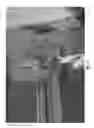 Fig. 33 - Simultaneous image gathering system and method