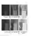 Fig. 01 - Exposure-related intensity transformation
