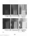 Fig. 06 - Exposure-related intensity transformation