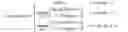 Fig. 08 - Method and device for chroma sample intra prediction in video coding system