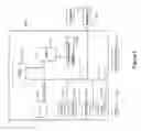 Fig. 03 - Video encoding and decoding with improved error resilience