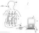 Fig. 01 - MOTION DETERMINING APPARATUS, BODY-INSERTABLE APPARATUS, METHOD OF DETERMINING MOTION, AND COMPUTER READABLE RECORDING MEDIUM