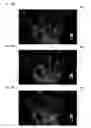 Fig. 13 - Image data compression and decompression using minimize size matrix algorithm
