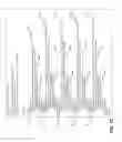 Fig. 11 - Forming A Tiled Video On The Basis Of Media Streams