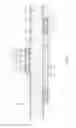 Fig. 12 - Microphone unit