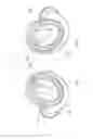 Fig. 02 - Earpiece with tap functionality