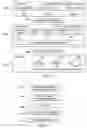 Fig. 16 - Ultra-broadband virtualized telecom and internet
