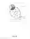 Fig. 07 - Facilitation of self-adjusting network uplink noise balancing