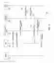 Fig. 14 - Methods and apparatus for selection of dedicated core network