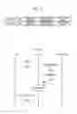 Fig. 09 - Determining whether to configure a user terminal in a country based on authentication