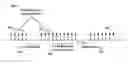 Fig. 01 - Signal power management in a multicarrier wireless device