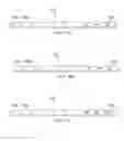 Fig. 05 - System and method of distinct duty cycle support for distinct multi-network protocol networks for industrial wireless sensor networks