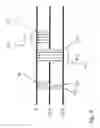 Fig. 05 - Method for data transmission in a cellular network with a machine type communication device