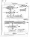 Fig. 15 - Wireless communication device, transmission method and computer program