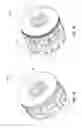 Fig. 15 - Desalinization apparatus