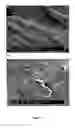 Fig. 06 - ELECTRICALLY CONDUCTIVE MATERIALS COMPRISING GRAPHENE
