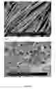 Fig. 07 - ELECTRICALLY CONDUCTIVE MATERIALS COMPRISING GRAPHENE