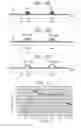 Fig. 07 - Printed circuit board and electronic device