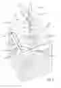 Fig. 09 - Irrigation apparatus and feeding system
