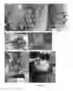 Fig. 03 - Non-GM improved crops and methods for obtaining crops with improved inheritable traits