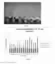Fig. 04 - Non-GM improved crops and methods for obtaining crops with improved inheritable traits