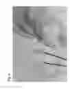 Fig. 04 - Micropropagation of date palm