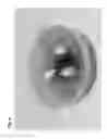 Fig. 05 - Micropropagation of date palm