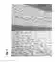 Fig. 06 - Micropropagation of date palm